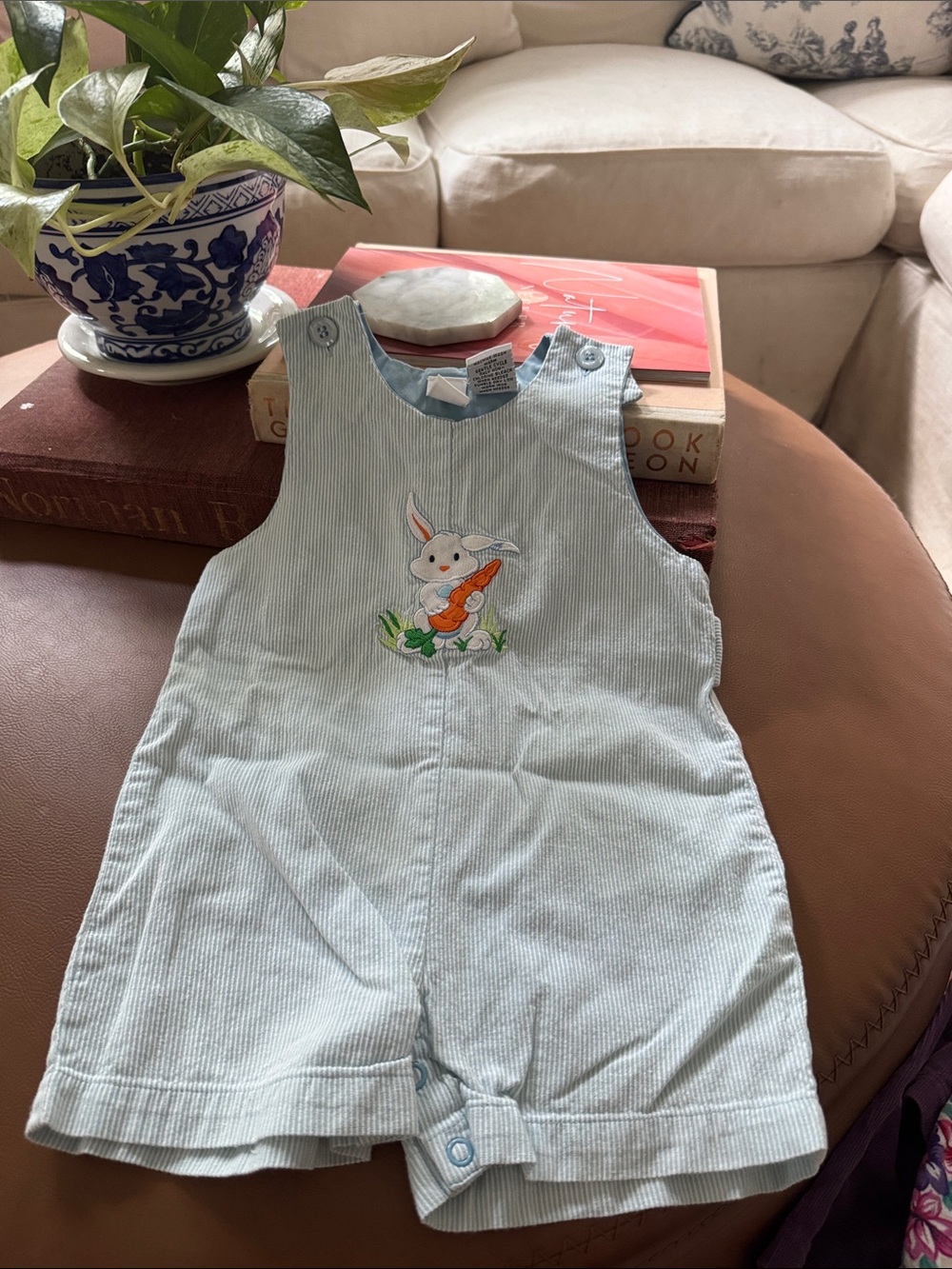 Vintage Light Blue Bunny Embroidered Corduroy Overalls